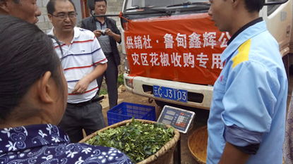 云南省供銷合作社系統迅速響應，全力破解魯甸地震災區花椒銷售與油料及農副產品收購難題